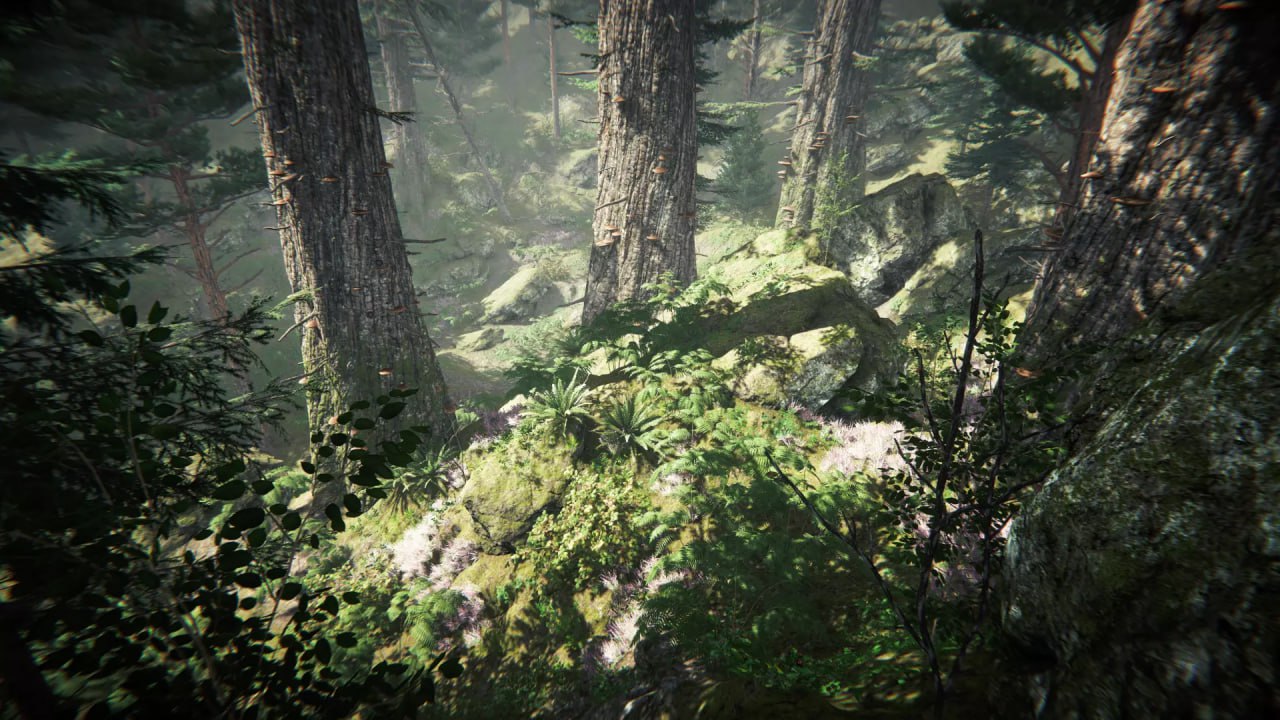 Coniferous Forest📱 - изображение 2